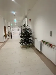 Weihnachten auf der Palliativstation – ein Baum, viel Menschlichkeit und ein stiller Abschied